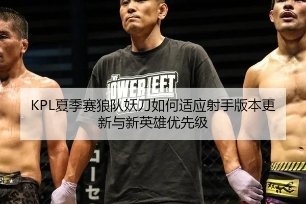 KPL夏季赛狼队妖刀如何适应射手版本更新与新英雄优先级